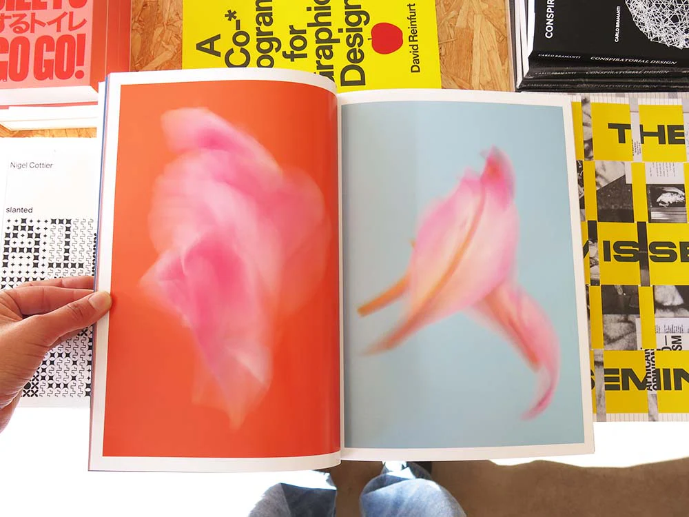 PRE-ORDER: Paula Codoner – The Chromatics of Flowers - Image 10