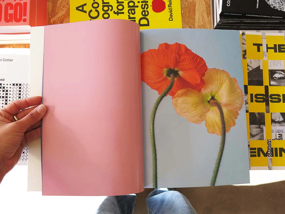 PRE-ORDER: Paula Codoner – The Chromatics of Flowers - Image 3