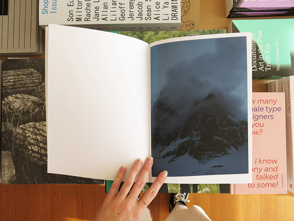 Pearce Leal – A Field Guide to Seeing New Land - Image 3