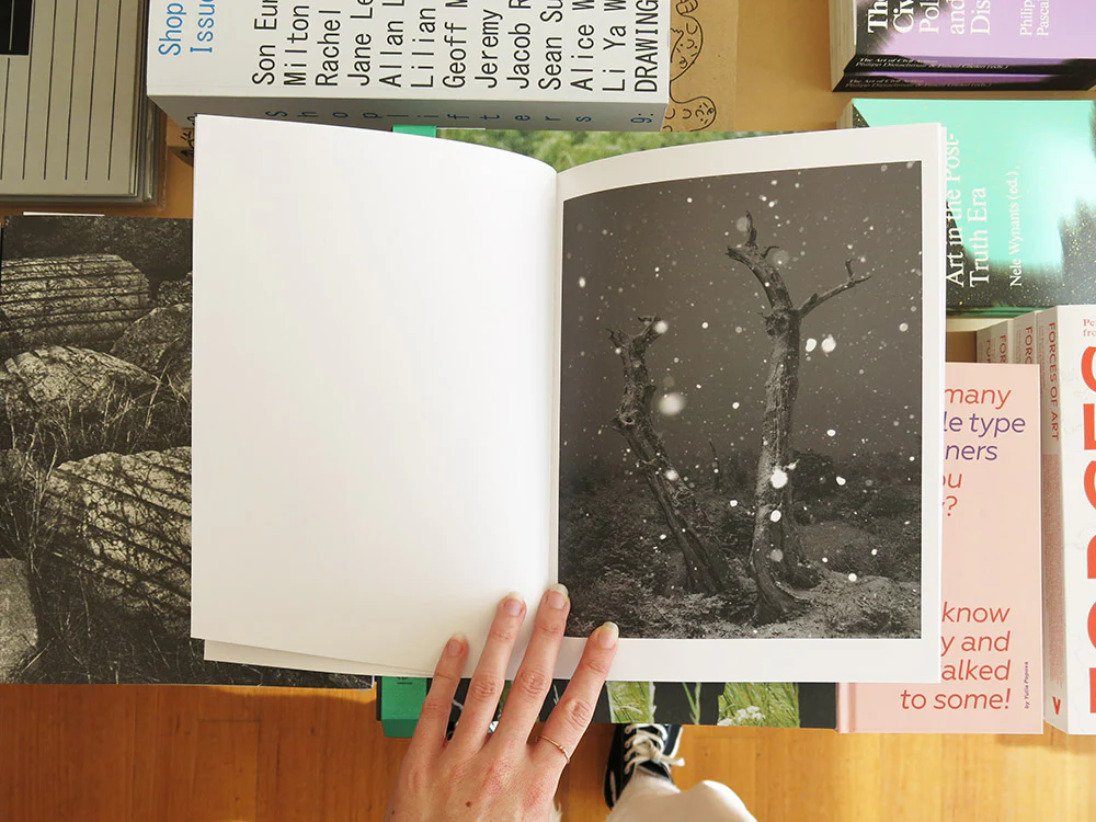 Pearce Leal – A Field Guide to Seeing New Land - Image 6
