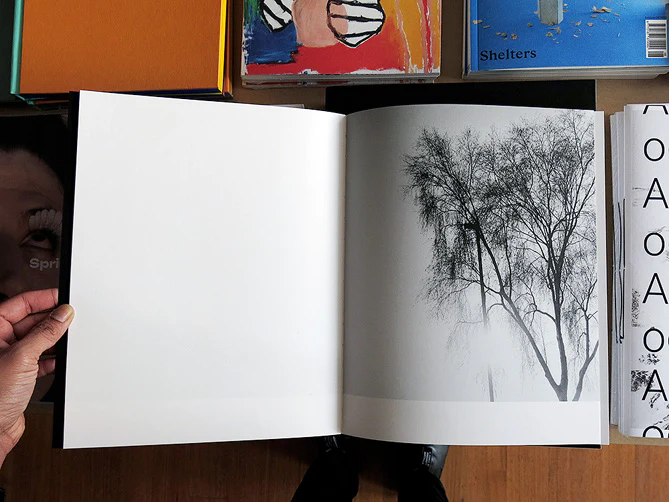 Phoebe Kiely – They Were My Landscape - Image 4