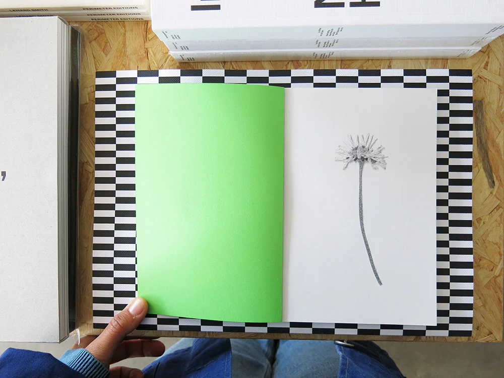 Jamie Yeo – Plant Scans - Image 2