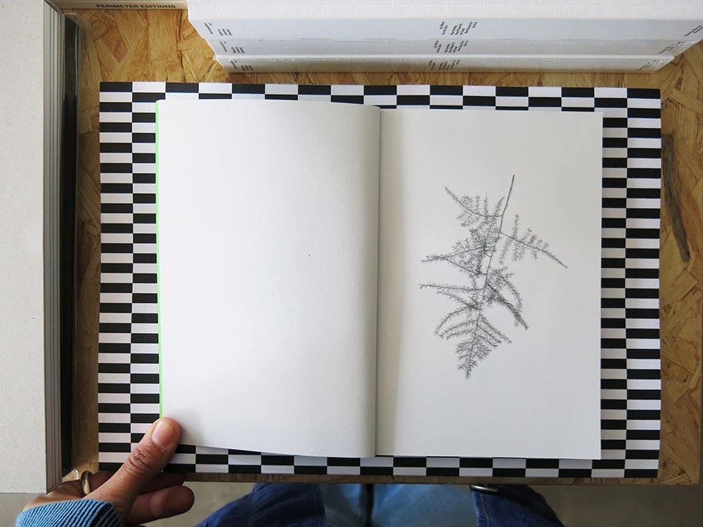Jamie Yeo – Plant Scans - Image 3