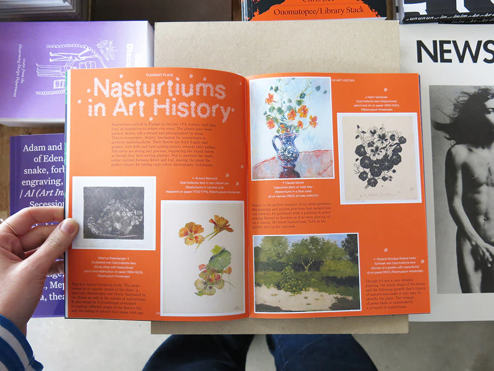 PRE-ORDER: Pleasant Place 2: Nasturtiums (Tropaeolum Majus) - Image 3