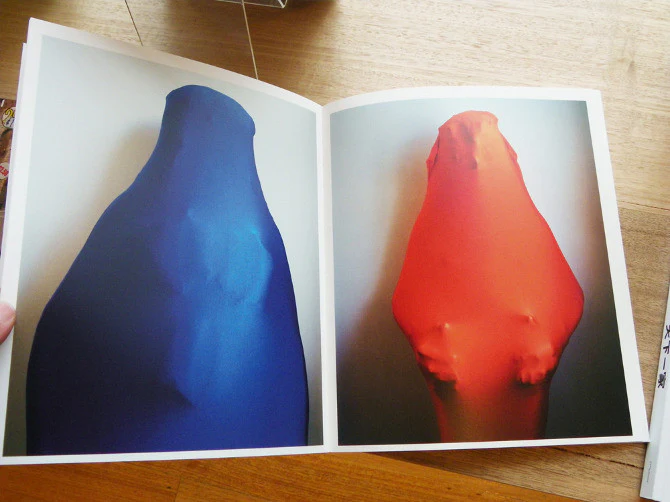 Polly Borland - Smudge - Image 4