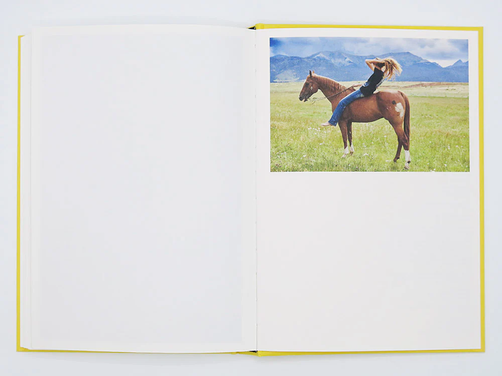 Bec Parsons – Lone Dove - Image 12