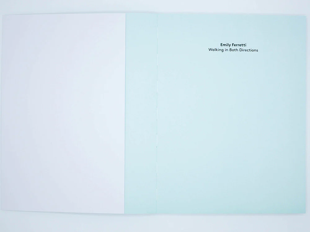 Emily Ferretti – Walking in Both Directions - Image 3