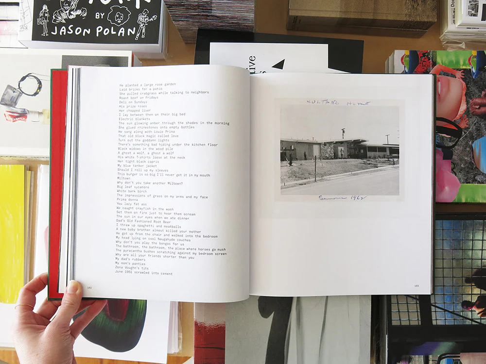 Larry Sultan – Pictures From Home - Image 5