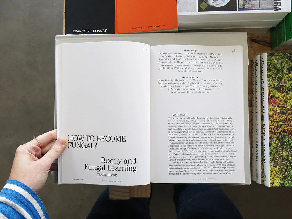 Let’s Become Fungal! Mycelium Teachings and the Arts - Image 3