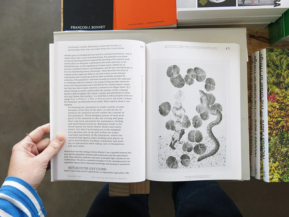 Let’s Become Fungal! Mycelium Teachings and the Arts - Image 4