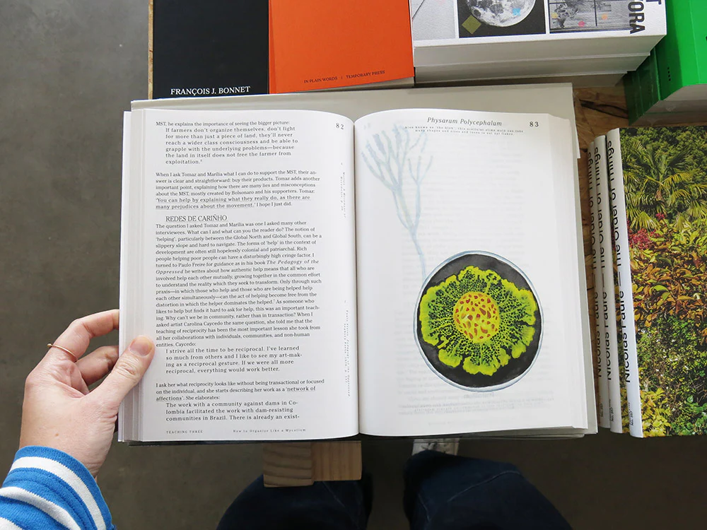 Let’s Become Fungal! Mycelium Teachings and the Arts - Image 5