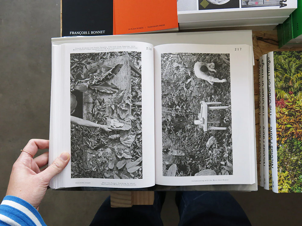 Let’s Become Fungal! Mycelium Teachings and the Arts - Image 9