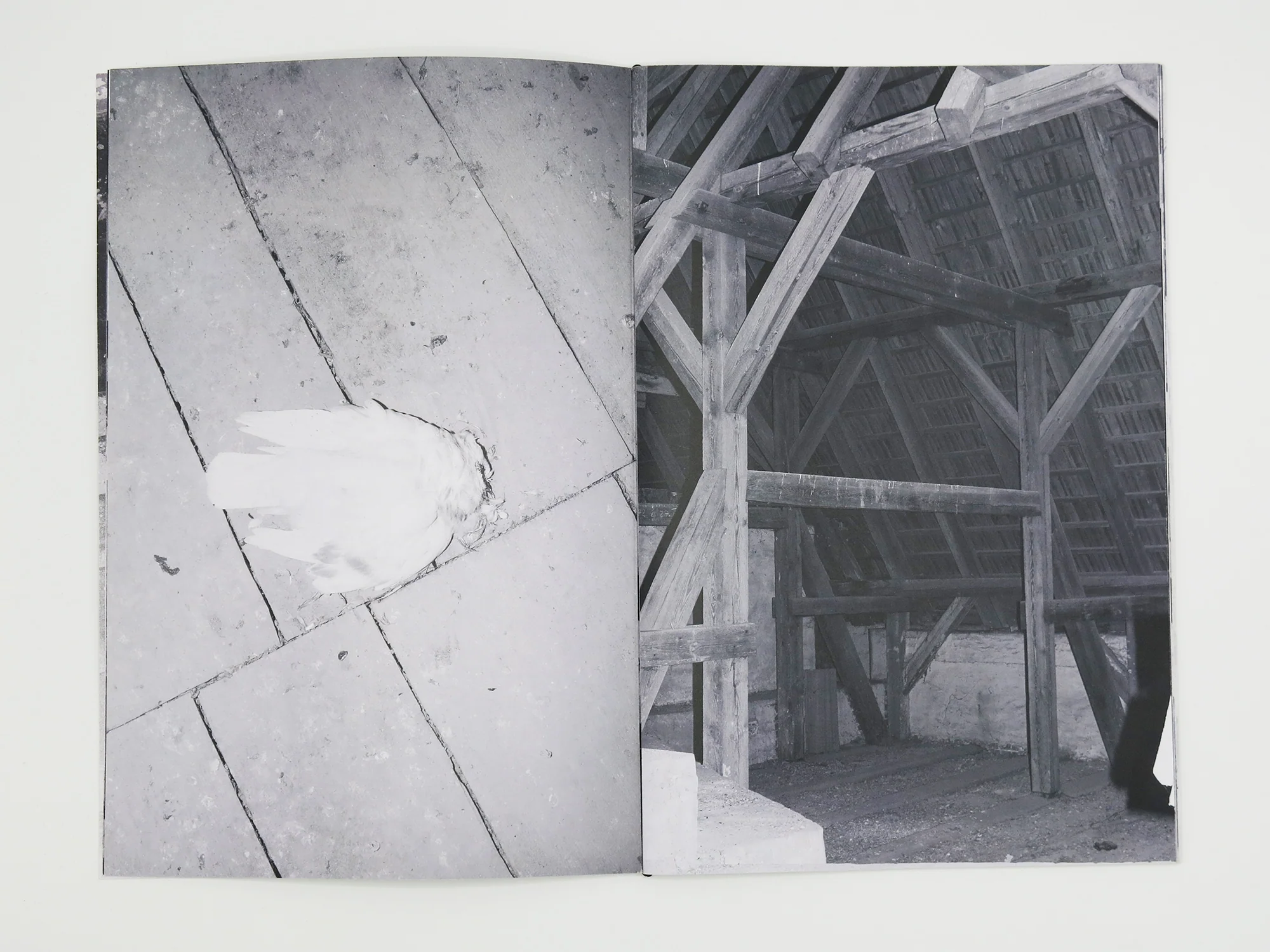 Sarah Walker - Pelči Manor - Image 4