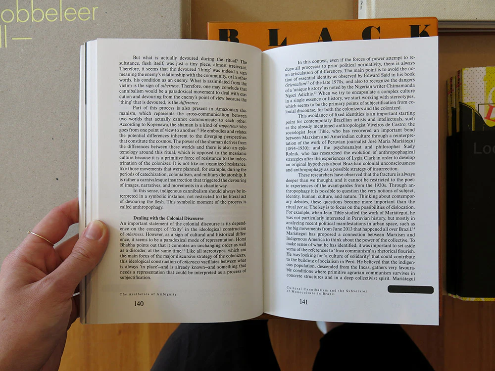 The Aesthetics of Ambiguity: Understanding and Addressing Monoculture - Image 6