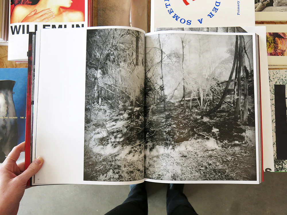 Richard Mosse – Broken Spectre - Image 5