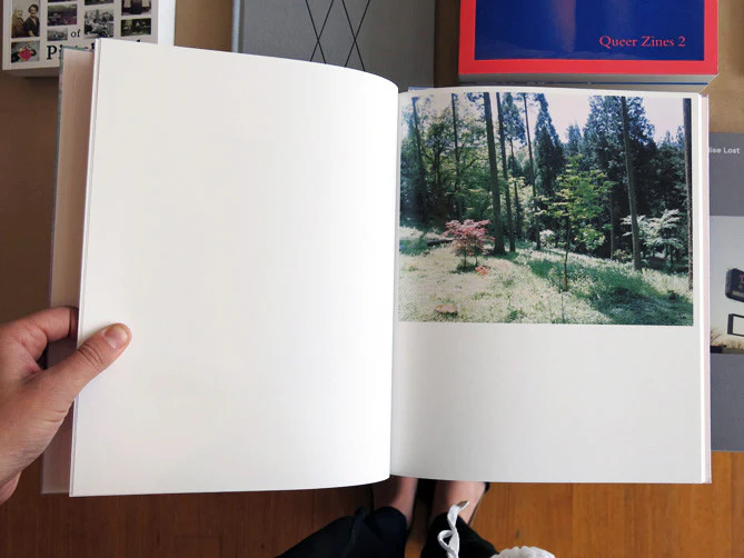 Rinko Kawauchi - The River Embraced Me - Image 4