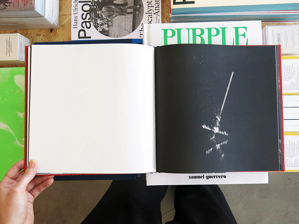 Robin Friend – Apiary - Image 5