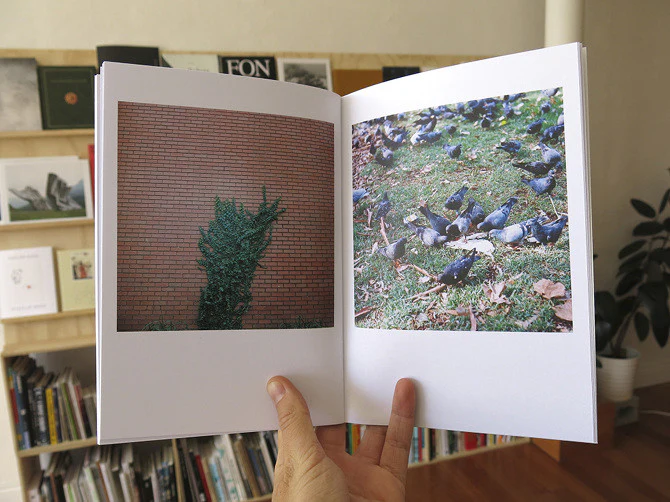 Robyn Daly - Collingwood: Volume Two - Image 6