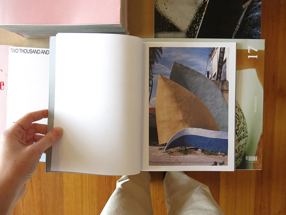 Rodrigo Sombra – Insular Night: Invisible Gardens - Image 2