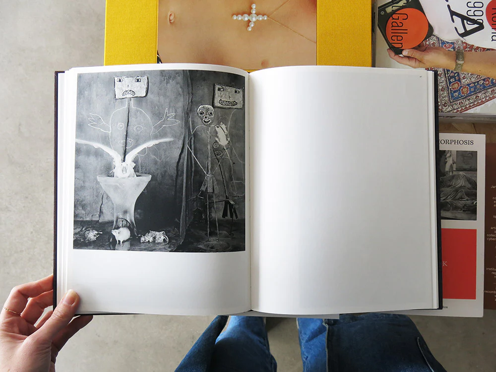 Roger Ballen – On Birds (Des oiseaux) - Image 6