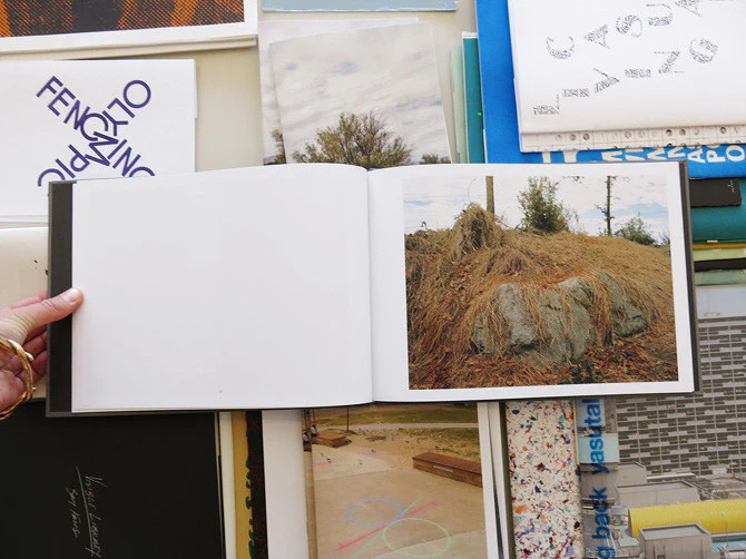 Ron Jude - Other Nature - Image 3