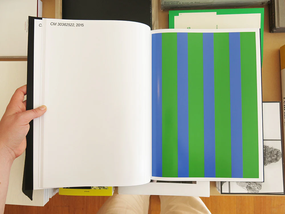 Rozbeh Asmani - 72 Colourmarks - Image 4