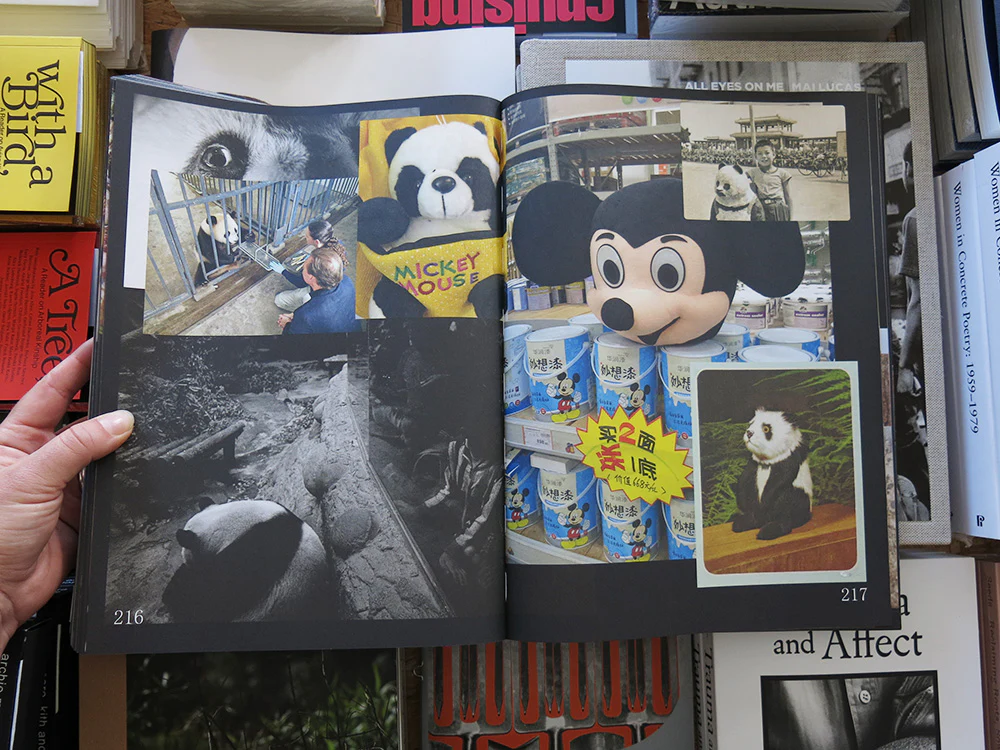 Ruben Lundgren – Flowers in the Mirror: A Reader - Image 10