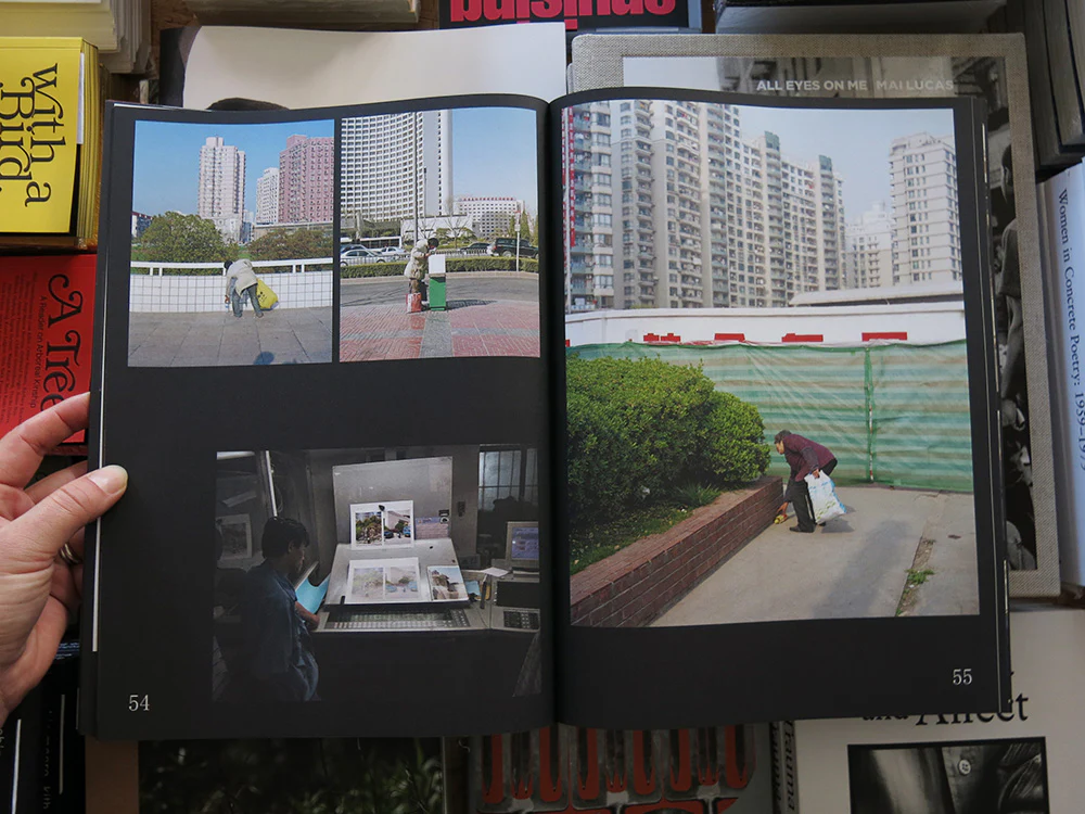 Ruben Lundgren – Flowers in the Mirror: A Reader - Image 4