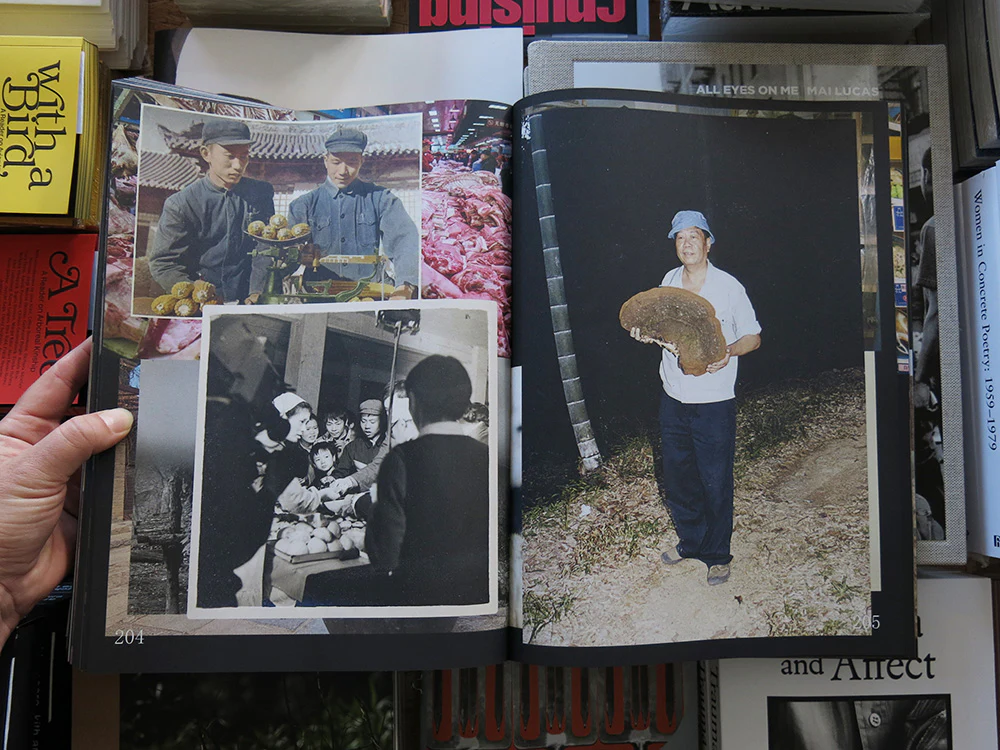 Ruben Lundgren – Flowers in the Mirror: A Reader - Image 9