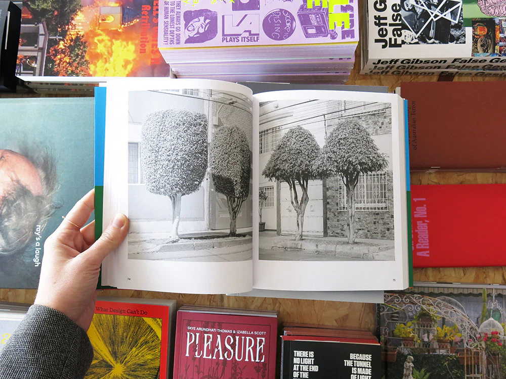 Rubén Montesinos – A Guide on Gardening - Image 4