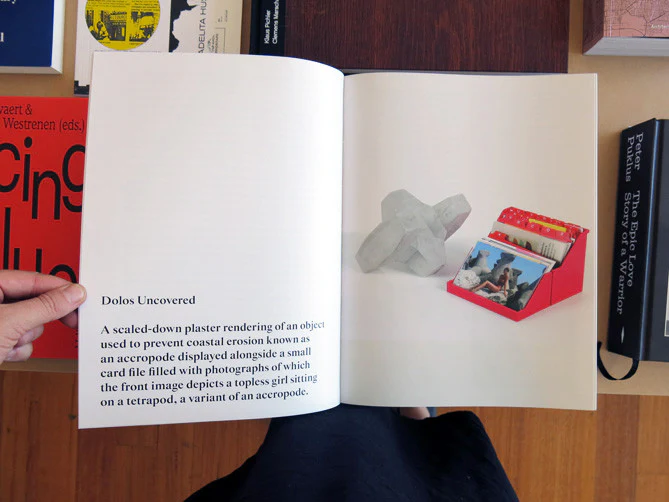 Ryan Gander – Fieldwork, The Complete Reader - Image 2