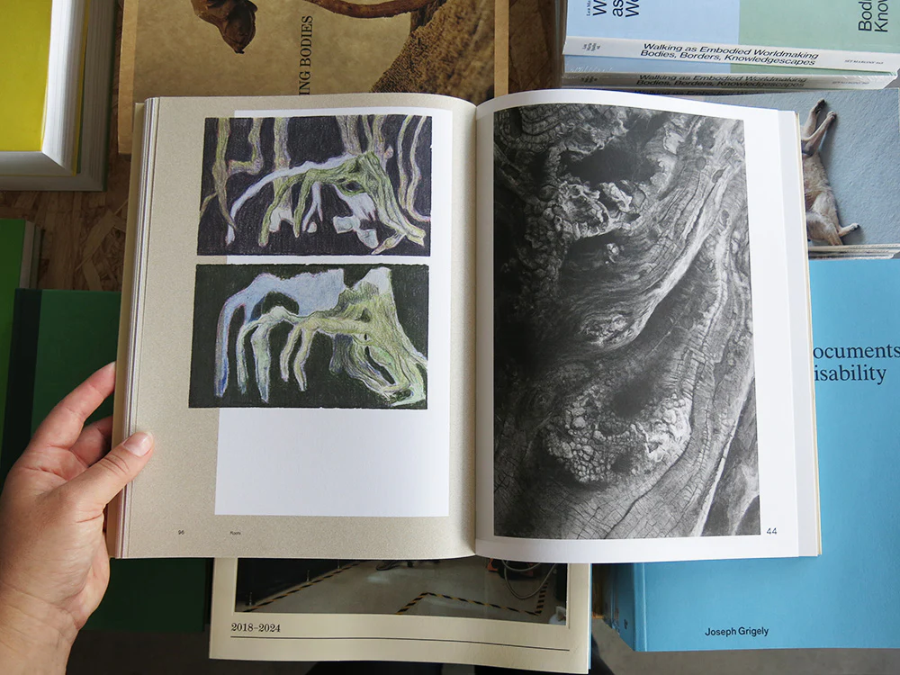 Sabina Timmermans – Sharing the Land: Notes on Nature - Image 8