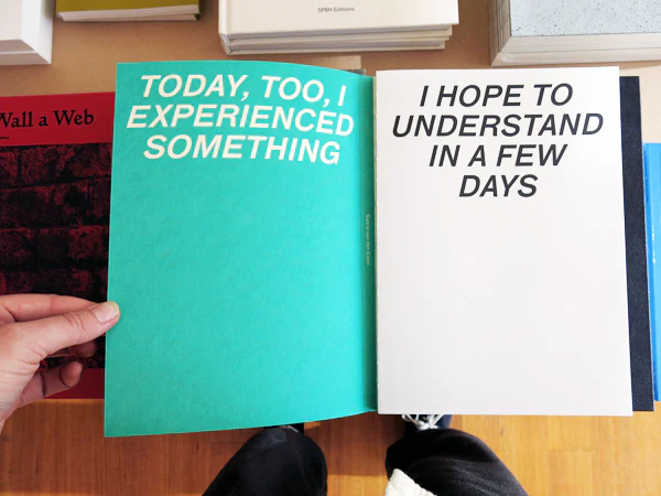 Sanne Van Den Elzen - Today, Too, I Experienced Something I Hope To Understand In A Few Days - Image 2