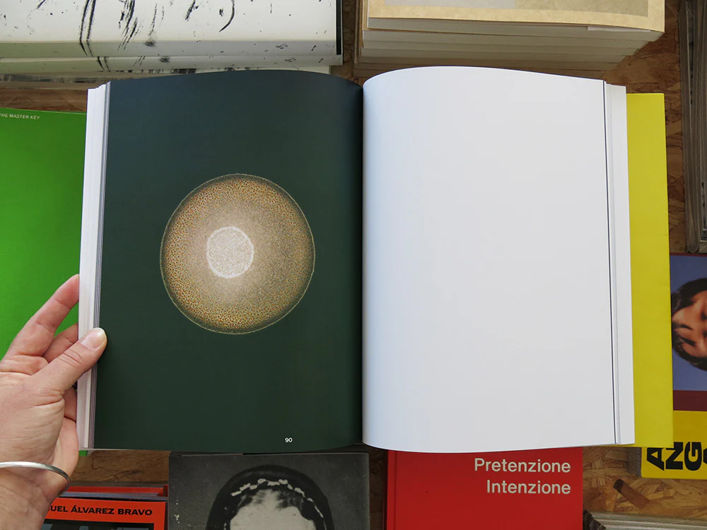 Sarah Ancelle Schönfeld: Labor Lab - Image 6