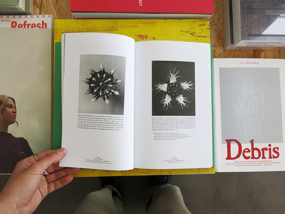 Science/Fiction: A Non-History of Plants - Image 8
