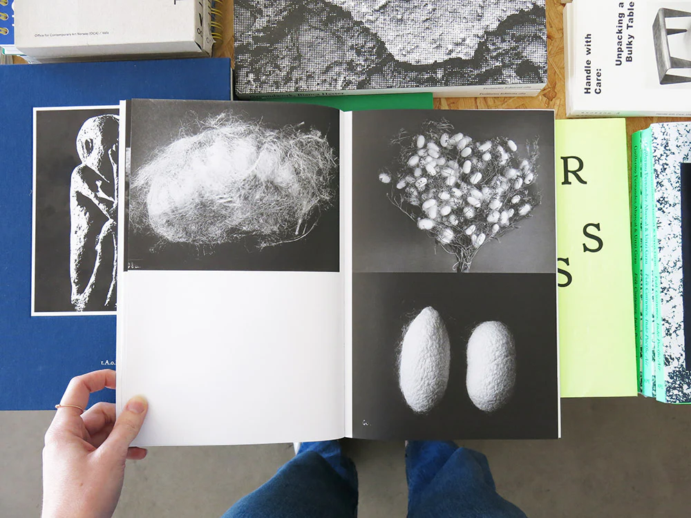 SERI(a) 2: Silk is a Noun - Image 6