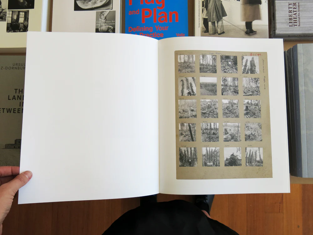 Shane Lavalette - Still (Noon) - Image 3