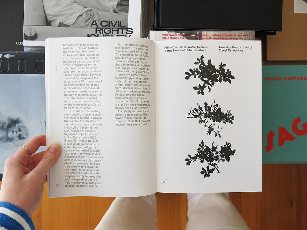 Sheung Yiu – Ground Truth - Image 2