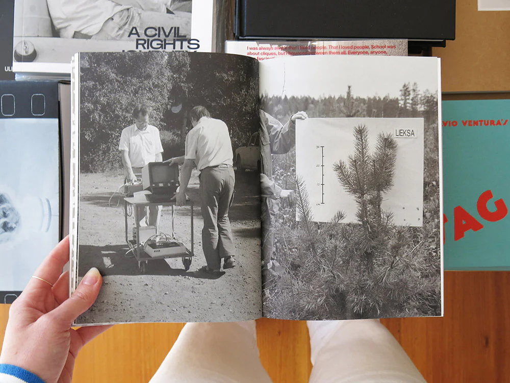 Sheung Yiu – Ground Truth - Image 7