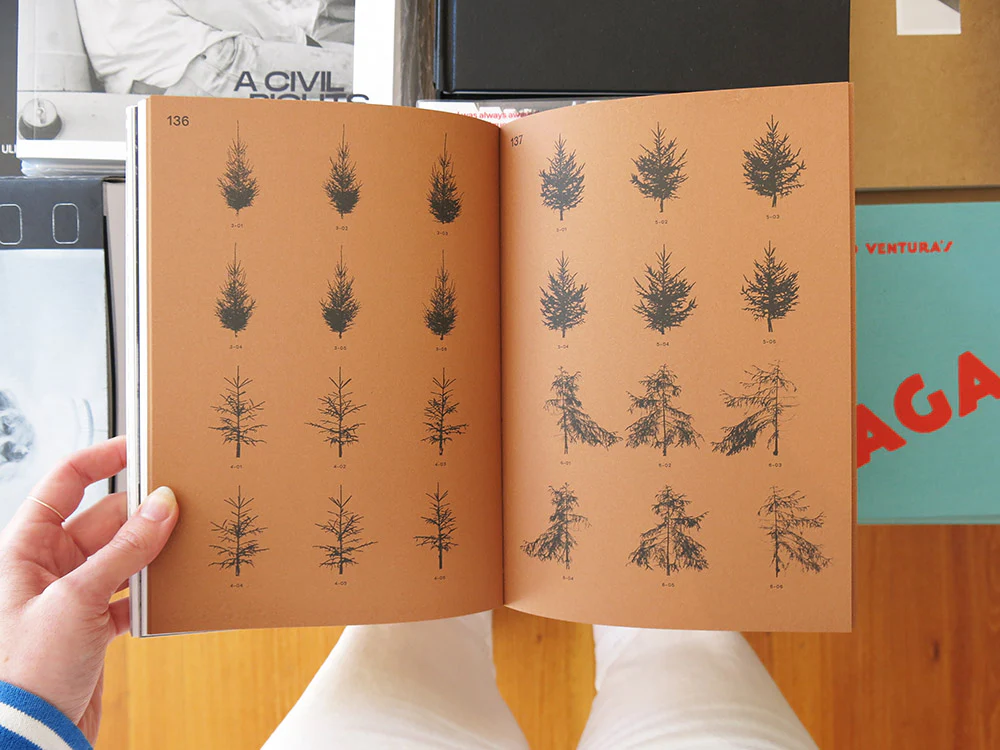 Sheung Yiu – Ground Truth - Image 8