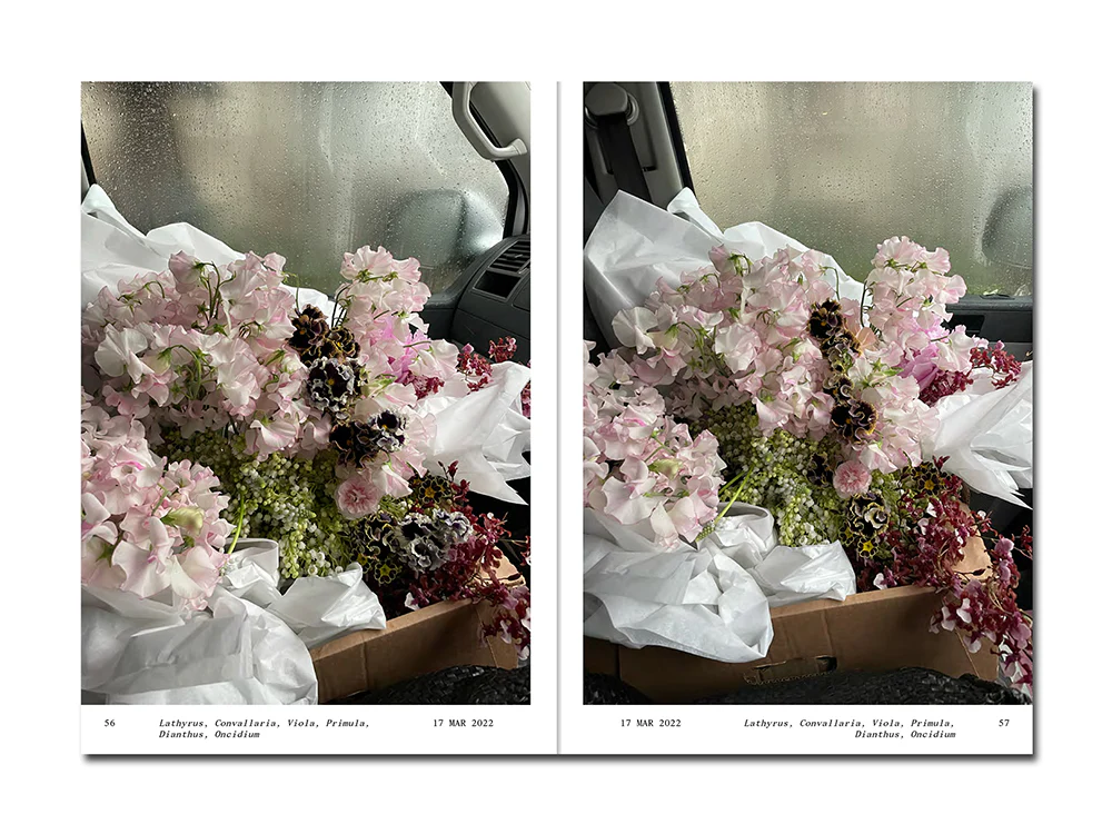 Simone Gooch – Flowers in the Front Seat - Image 7