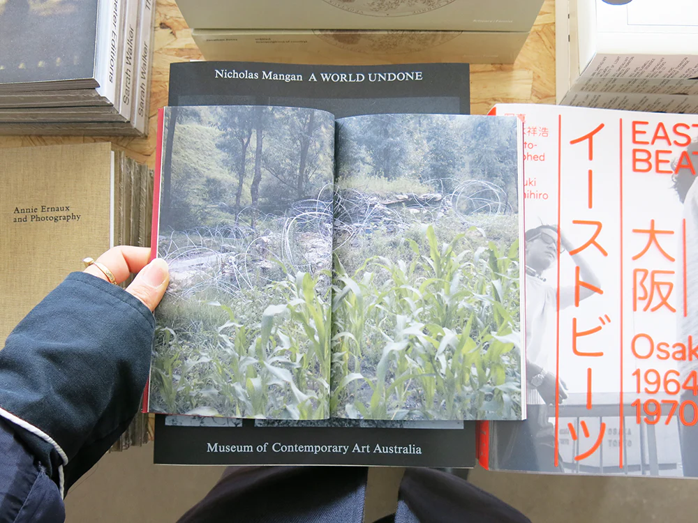 Skye Arundhati Thomas & Izabella Scott – Pleasure Gardens: Blackouts and the Logic of Crisis in Kashmir - Image 2