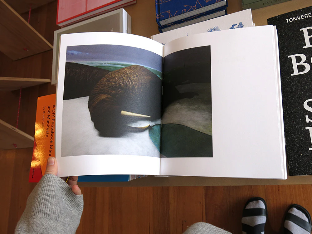Sofia Borges - The Swamp - Image 3