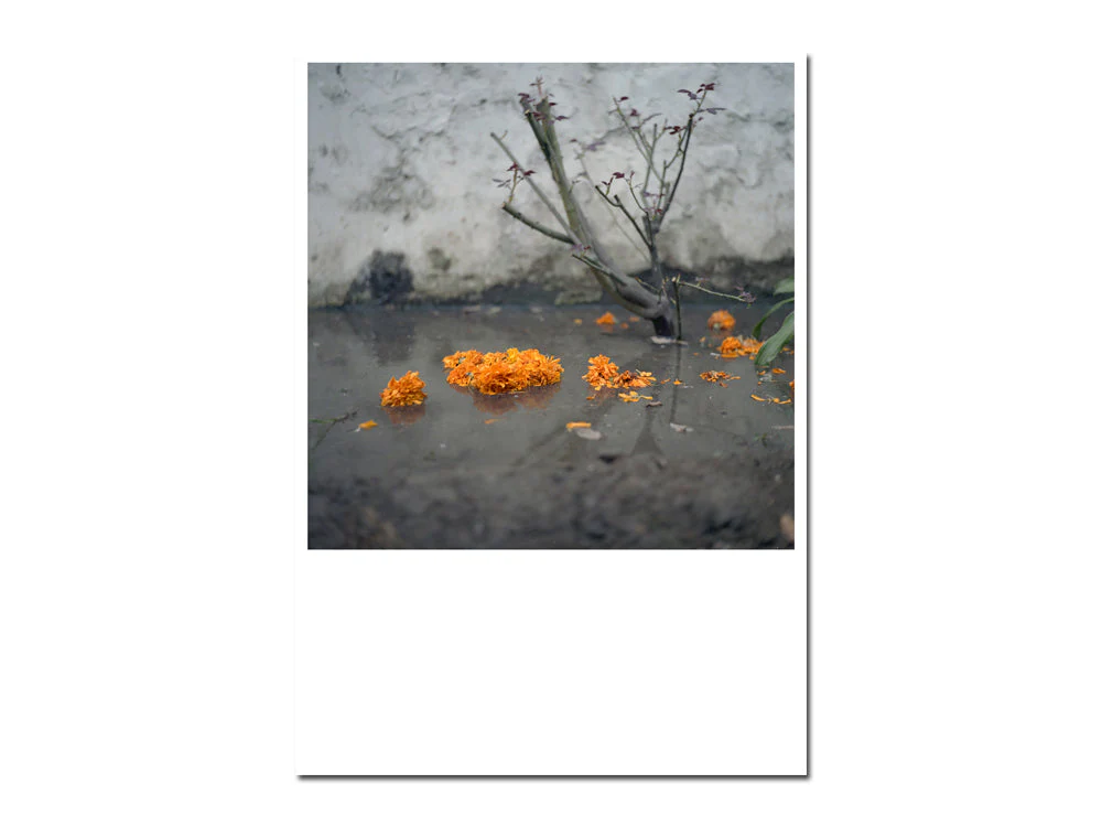 SPECIAL EDITION: Anu Kumar – Ghar - Image 15