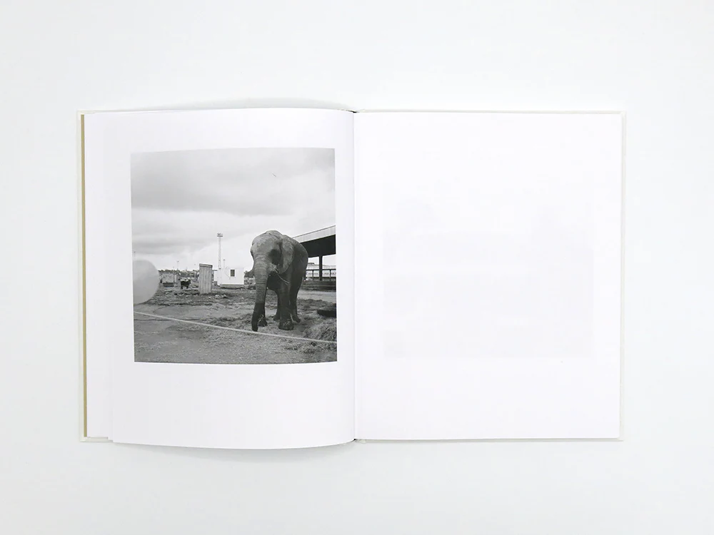 SPECIAL EDITION: Kathryn McCool – P.North - Image 6