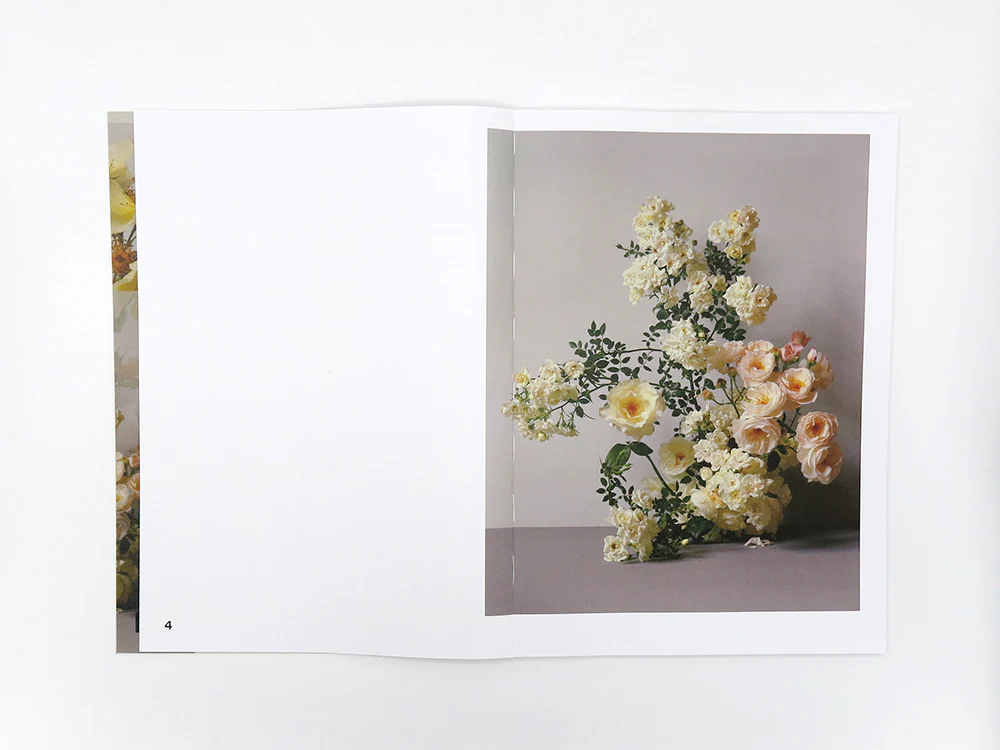 Simone Gooch + Derek Henderson – Rosa - Image 4