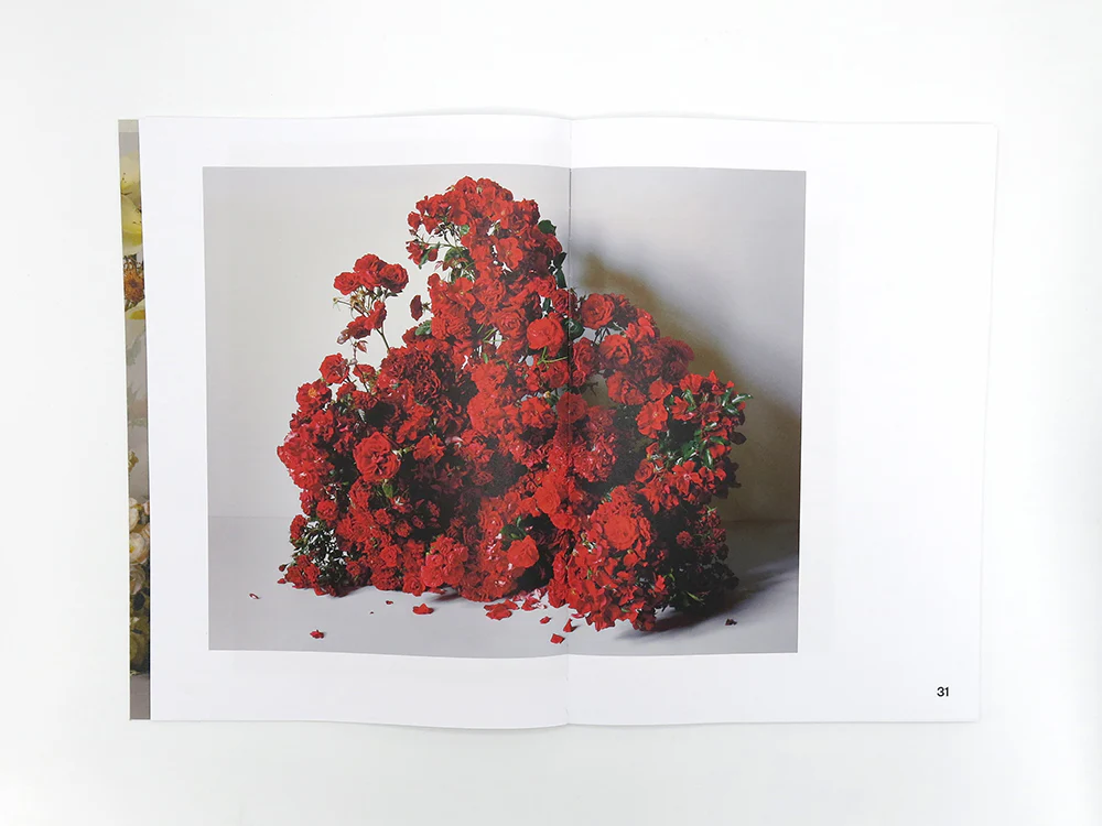 Simone Gooch + Derek Henderson – Rosa - Image 7