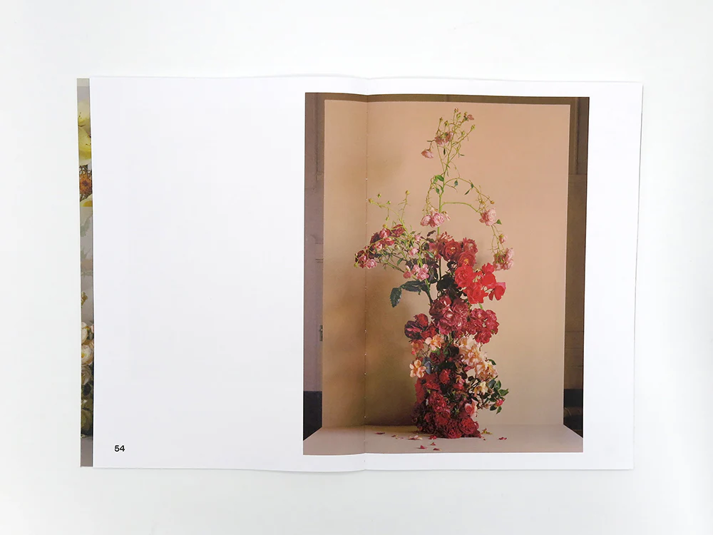 Simone Gooch + Derek Henderson – Rosa - Image 9