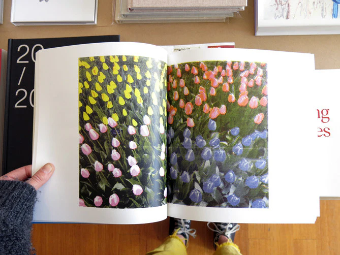 Stephan Sagmiller - Schema - Image 7