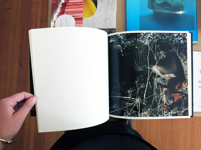 Stephen Gill - Talking to Ants - Image 10